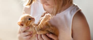 premier chat