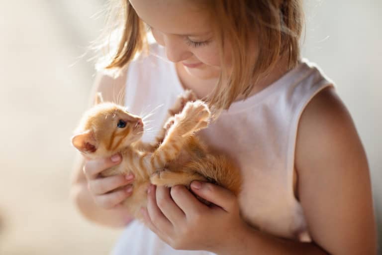 premier chat