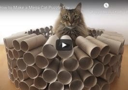 puzzle géant