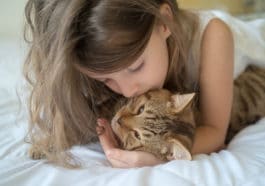 chat bisou