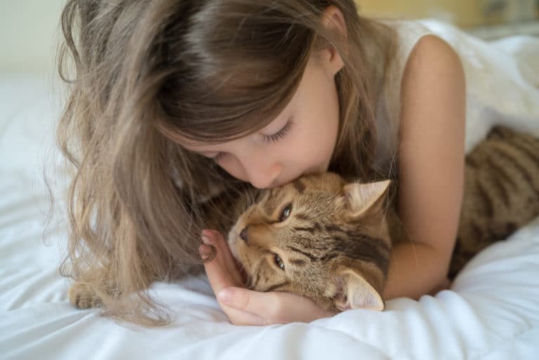 chat bisou