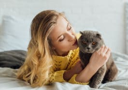 chat câlin