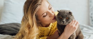 chat câlin