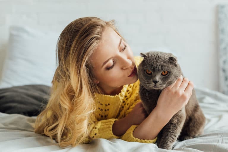 chat câlin