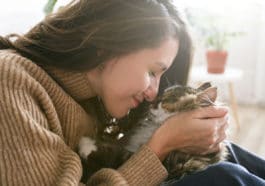 chat câlin