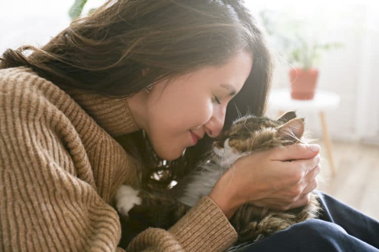 chat câlin