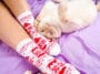 chat chaussette
