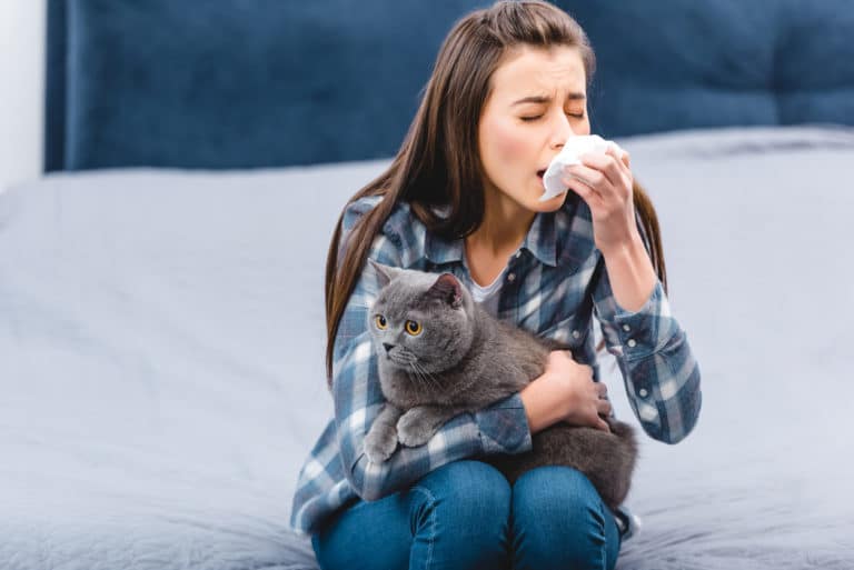 allergie aux chats