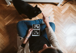 chat grossesse enceinte