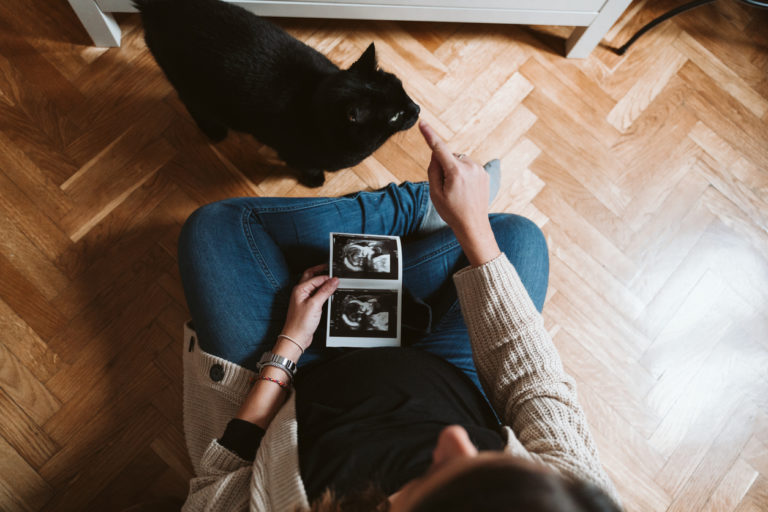 chat grossesse enceinte