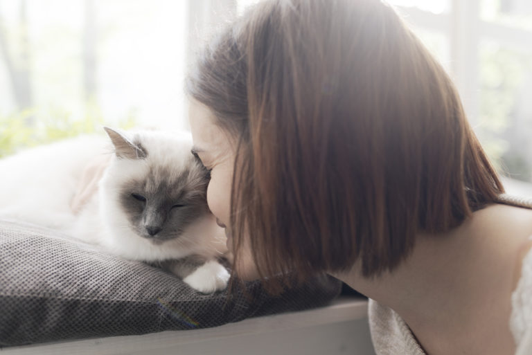 chat câlin tête