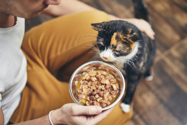 chat mange