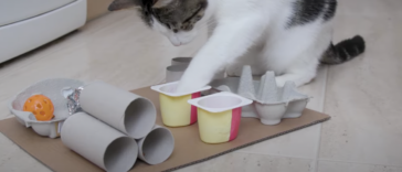 chat puzzle