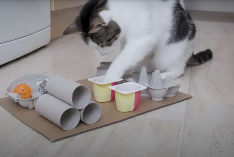 chat puzzle