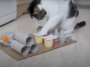 chat puzzle
