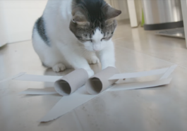 chat jouet