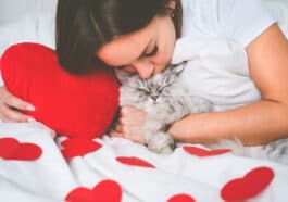 complicité chat et humain