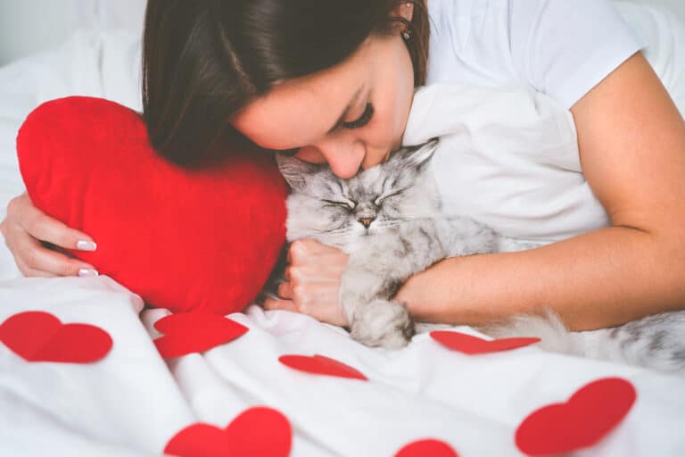 complicité chat et humain