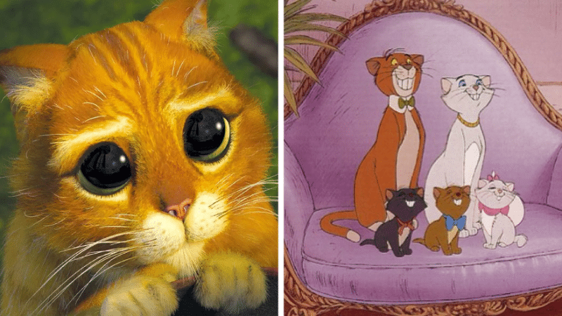 Chats fictifs célèbres