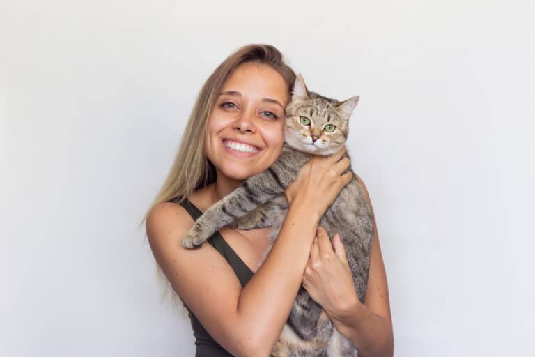 chat