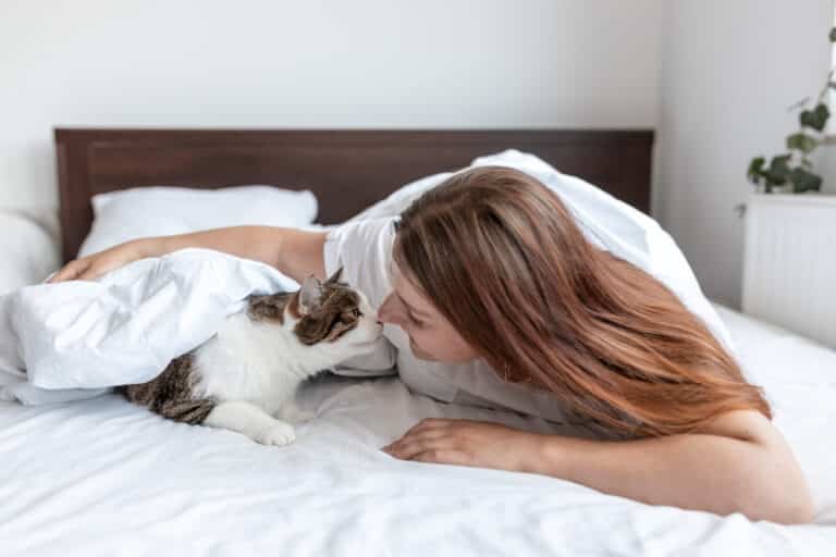 chat