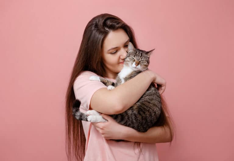 chat