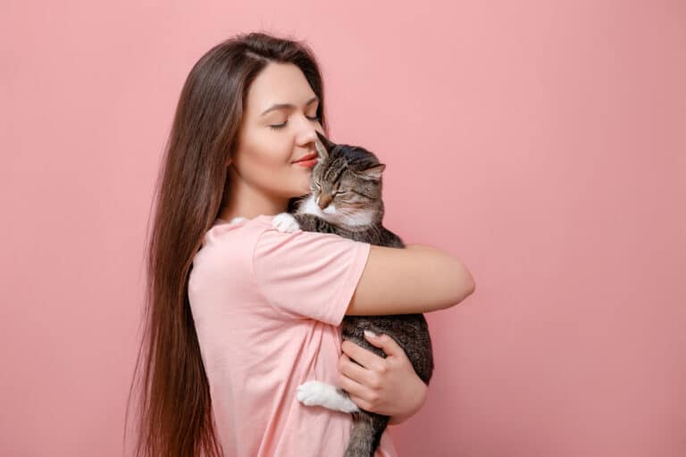 assurance pour chat
